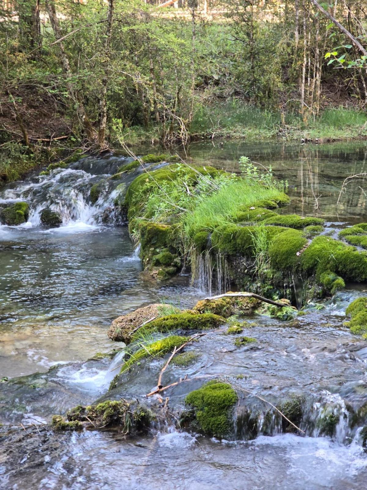 Hostal Rural Alto Tajo Poveda Poveda de la Sierra 외부 사진