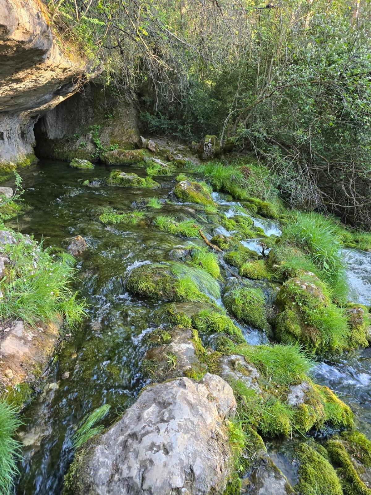 Hostal Rural Alto Tajo Poveda Poveda de la Sierra 외부 사진